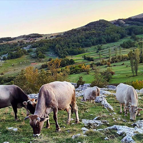 Nature Bosnia and Herzegovina